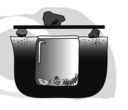 En nergrävd glasburk som ska fånga kryp, illustration.