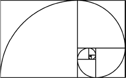 Fibonaccispiralens uppbyggnad, illustration.